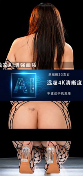 JM假面AI增强4K-NO83-NO5-20G+-