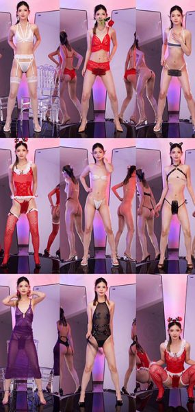 红玫瑰 珞言 精品舞团高清画质流出专版 2期 16V/8.38G/60Hz