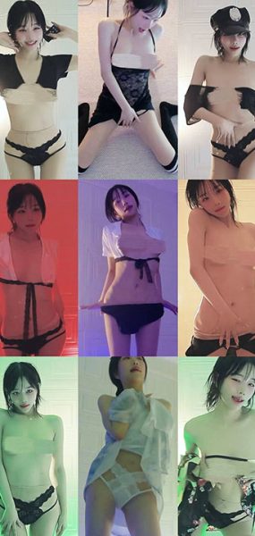 网红 仁慧 美艳绝伦粉丝房绝顶骚舞 17V/2.66G